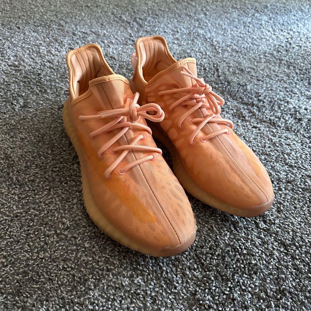 Adidas Men's 350 v2 mono clay